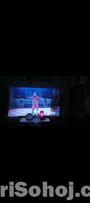 Projector